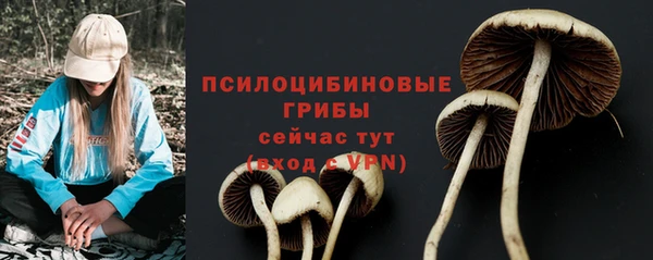 гашик Майский