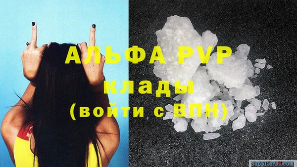 гашик Майский