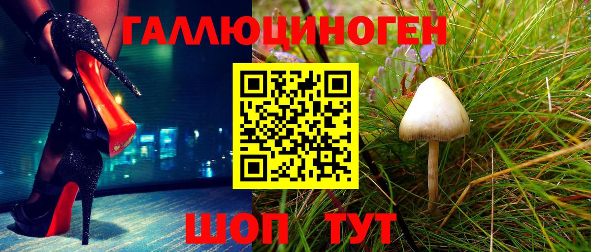 Псилоцибиновые грибы Cubensis Нефтеюганск