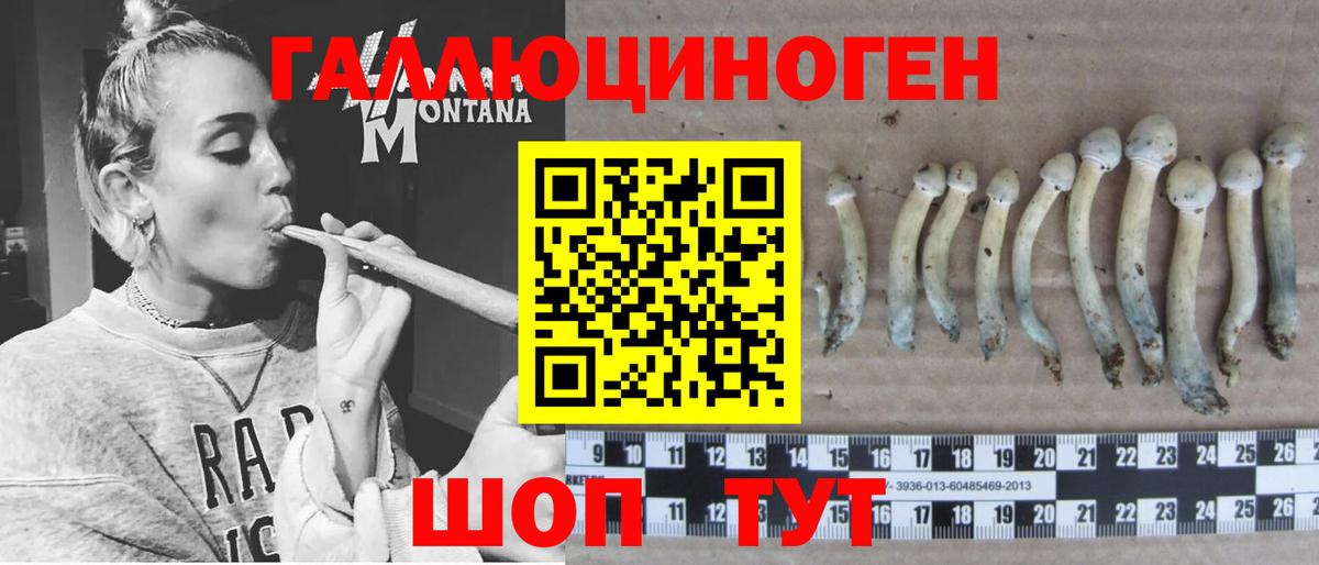 Нефтеюганск  Псилоцибиновые грибы Psilocybe  Вход с VPN  Галлюциногенные грибы Psilocybe 
